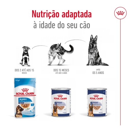 Royal Canin Maxi Ageing 5+ - Alimento em patê para cão de porte grande com mais de 5 anos