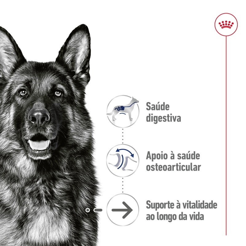 Royal Canin Maxi Ageing 5+ - Alimento em patê para cão de porte grande com mais de 5 anos