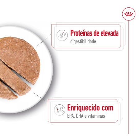 Royal Canin Maxi Ageing 5+ - Alimento em patê para cão de porte grande com mais de 5 anos