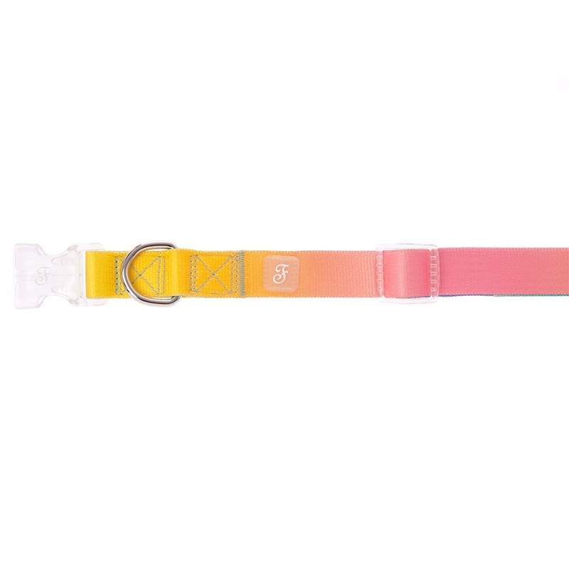 Coleira Motif Rainbow para cães - Ferribiella