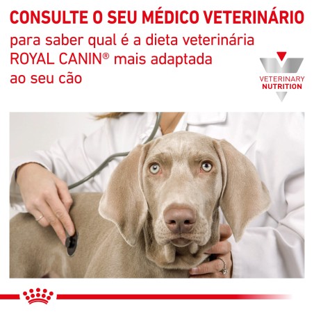 Royal Canin VET Gastrointestinal High Fibre - Alimento em patê para cão adulto com problemas digestivos