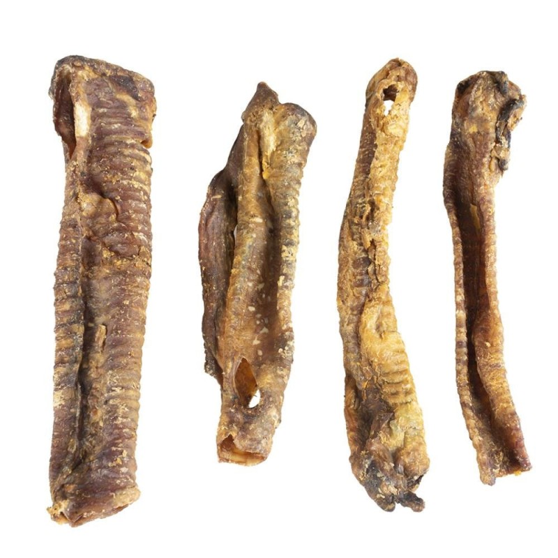 Traqueia de cordeiro natural para cão Farmz - Duvo Plus