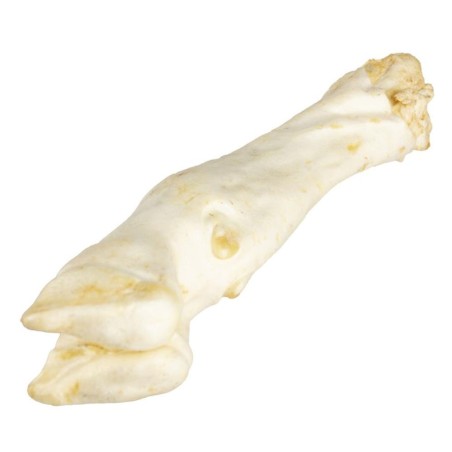 Perna de cordeiro natural para cão Farmz - Duvo Plus