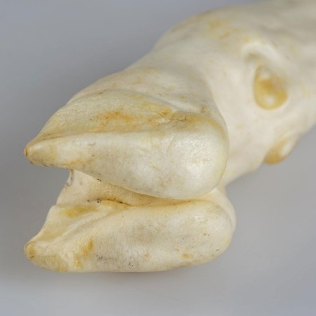 Perna de cordeiro natural para cão Farmz - Duvo Plus