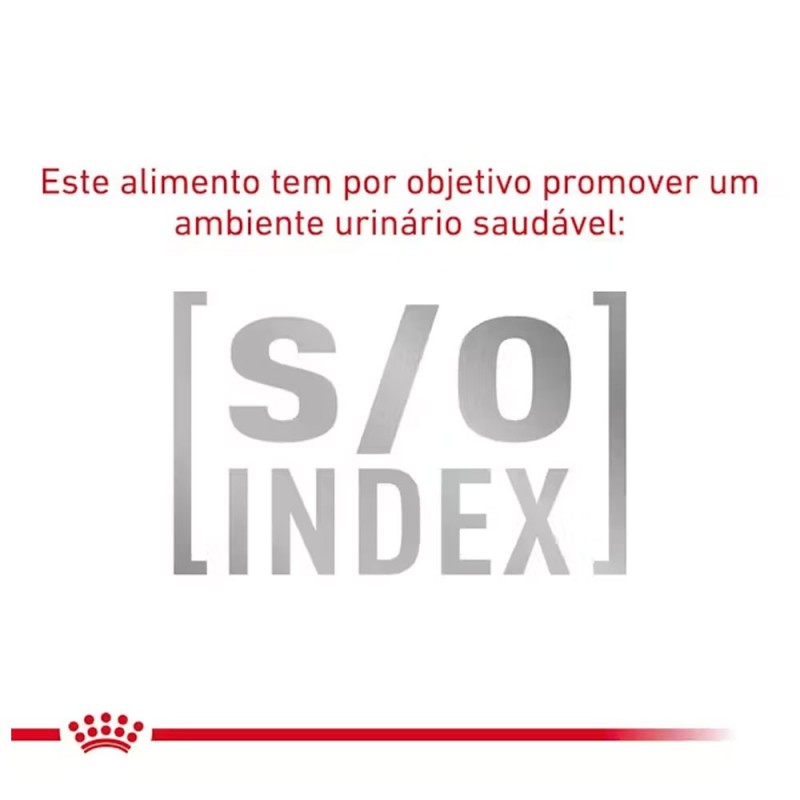 Royal Canin VET Gastrointestinal Fiber Response - Alimento em molho para gato adulto com problemas digestivos