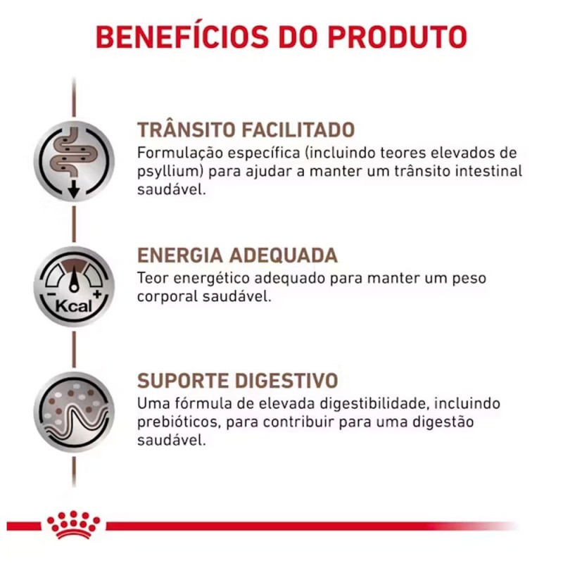Royal Canin VET Gastrointestinal Fiber Response - Alimento em molho para gato adulto com problemas digestivos