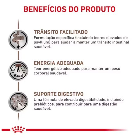 Royal Canin VET Gastrointestinal Fiber Response - Alimento em molho para gato adulto com problemas digestivos