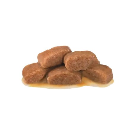 Royal Canin VET Gastrointestinal Fiber Response - Alimento em molho para gato adulto com problemas digestivos