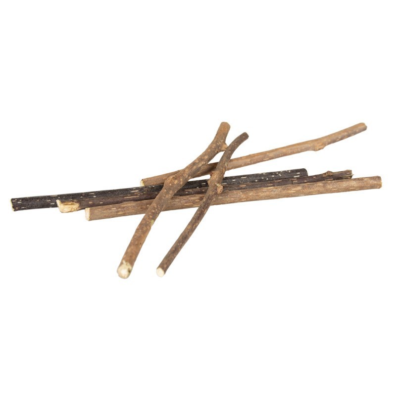 Sticks de Matatabi para gato - Duvo Plus