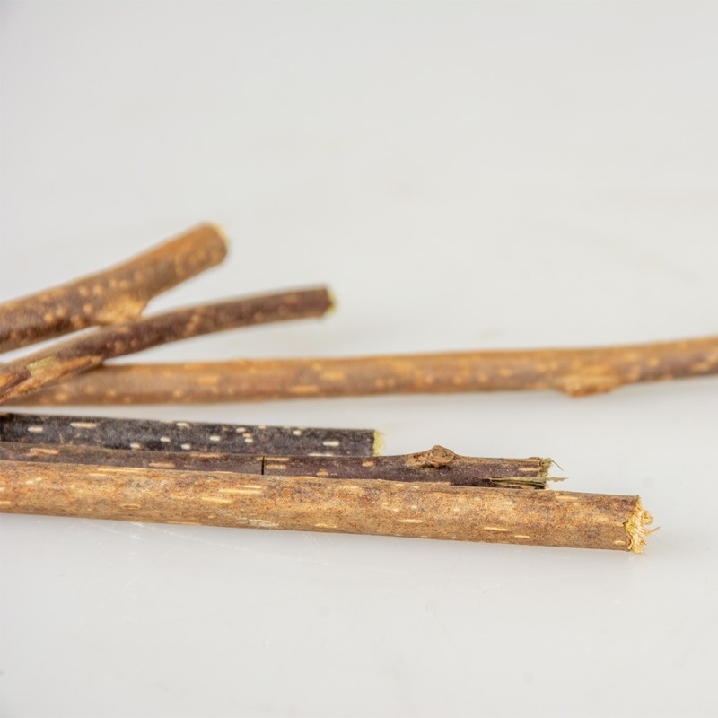 Sticks de Matatabi para gato - Duvo Plus