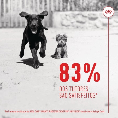 Royal Canin Immunity Digestion Puppy - Suplemento para cachorros com sensibilidade digestiva
