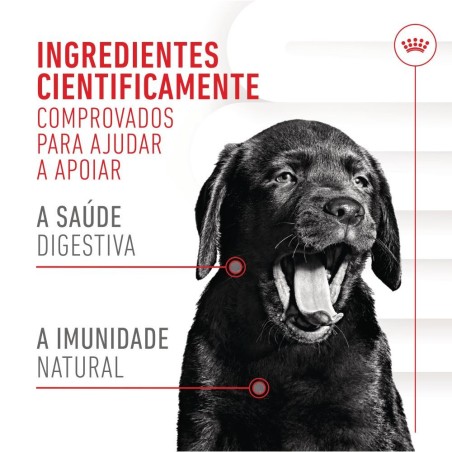 Royal Canin Immunity Digestion Puppy - Suplemento para cachorros com sensibilidade digestiva