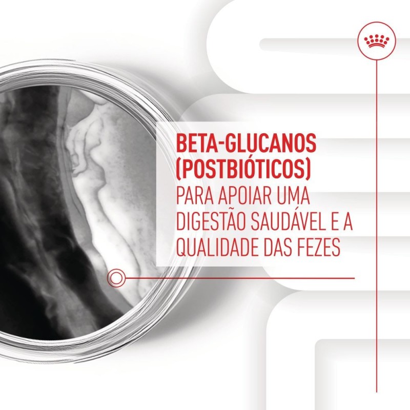 Royal Canin Immunity Digestion Puppy - Suplemento para cachorros com sensibilidade digestiva