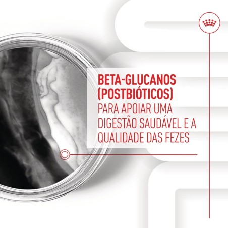 Royal Canin Immunity Digestion Puppy - Suplemento para cachorros com sensibilidade digestiva