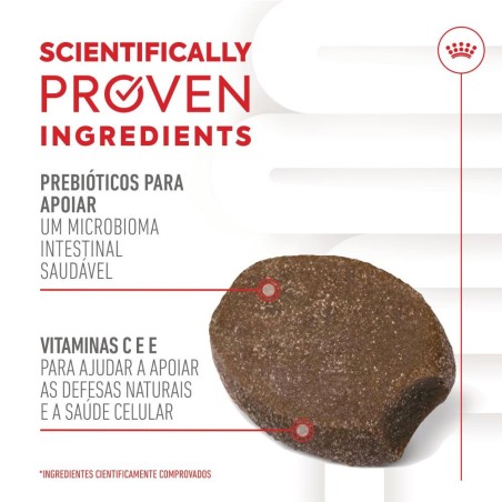 Royal Canin Immunity Digestion Puppy - Suplemento para cachorros com sensibilidade digestiva