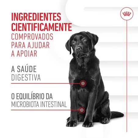 Royal Canin Digestion Chews - Suplemento para cães com sensibilidade digestiva