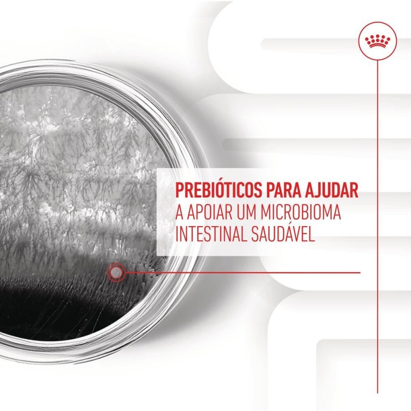 Royal Canin Digestion Chews - Suplemento para cães com sensibilidade digestiva