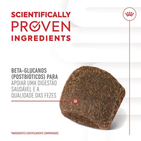 Royal Canin Digestion Chews - Suplemento para cães com sensibilidade digestiva