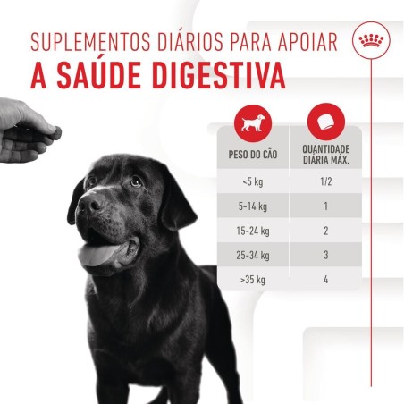 Royal Canin Digestion Chews - Suplemento para cães com sensibilidade digestiva