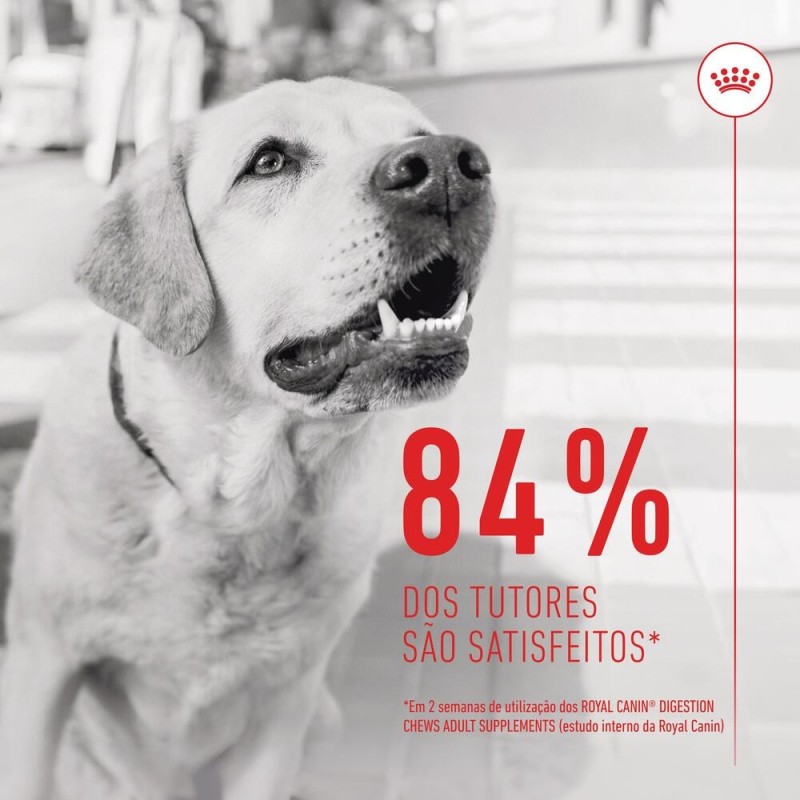 Royal Canin Digestion Chews - Suplemento para cães com sensibilidade digestiva