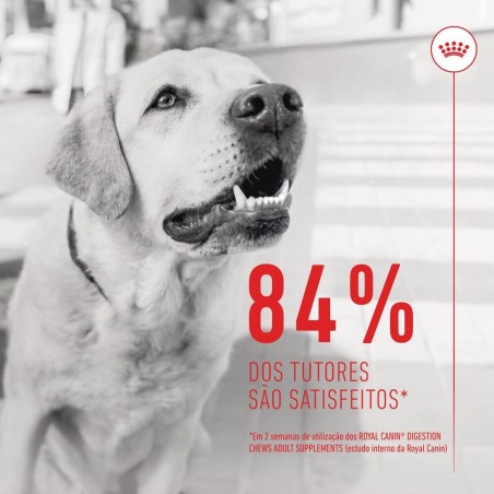 Royal Canin Digestion Chews - Suplemento para cães com sensibilidade digestiva