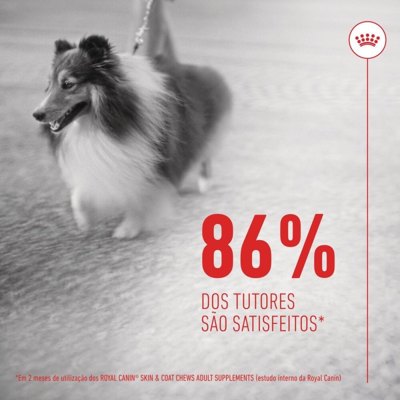 Royal Canin Skin & Coat Chews - Suplemento para cães com pele sensível