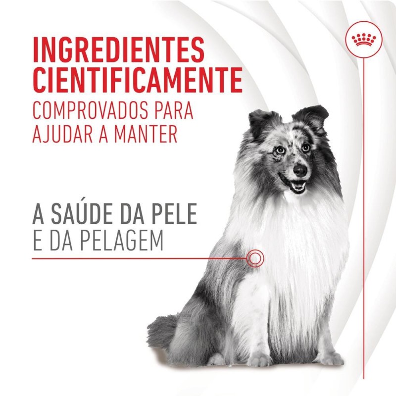 Royal Canin Skin & Coat Chews - Suplemento para cães com pele sensível