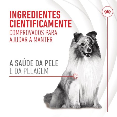Royal Canin Skin & Coat Chews - Suplemento para cães com pele sensível