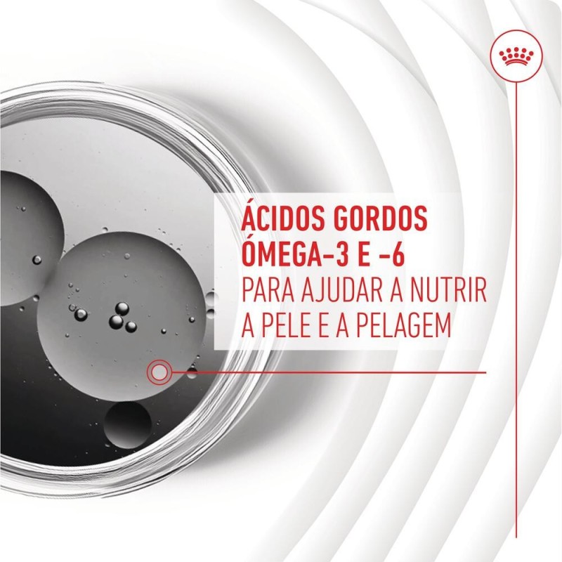 Royal Canin Skin & Coat Chews - Suplemento para cães com pele sensível