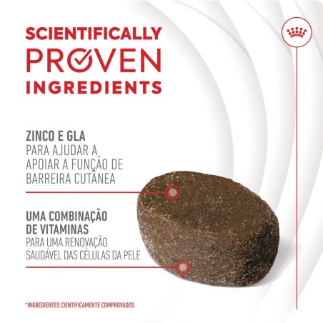 Royal Canin Skin & Coat Chews - Suplemento para cães com pele sensível