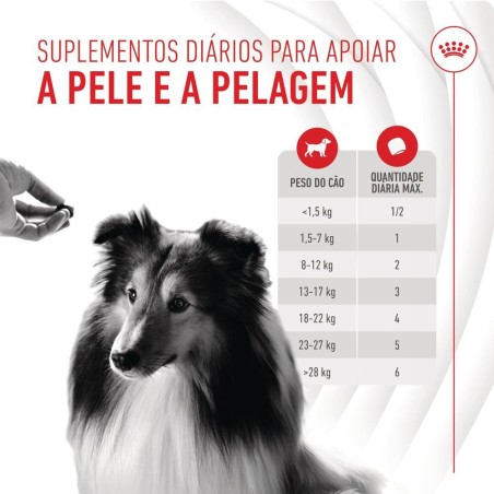 Royal Canin Skin & Coat Chews - Suplemento para cães com pele sensível