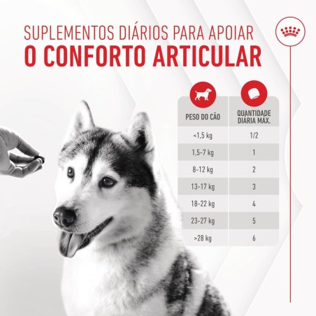 Royal Canin Joint & Ageing Chews - Suplemento para cães com sensibilidade articular