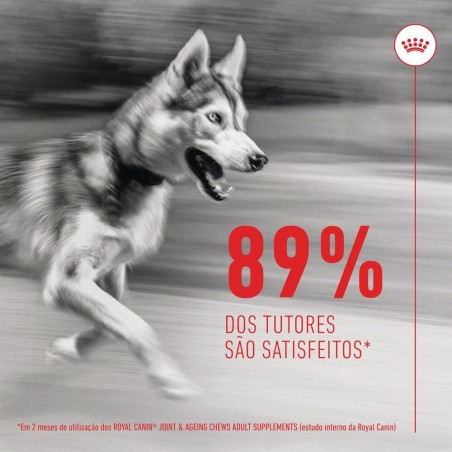 Royal Canin Joint & Ageing Chews - Suplemento para cães com sensibilidade articular