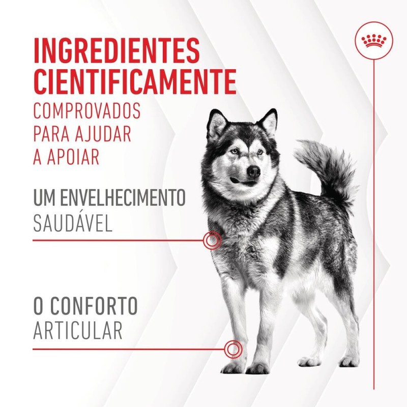 Royal Canin Joint & Ageing Chews - Suplemento para cães com sensibilidade articular