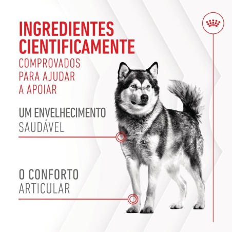 Royal Canin Joint & Ageing Chews - Suplemento para cães com sensibilidade articular