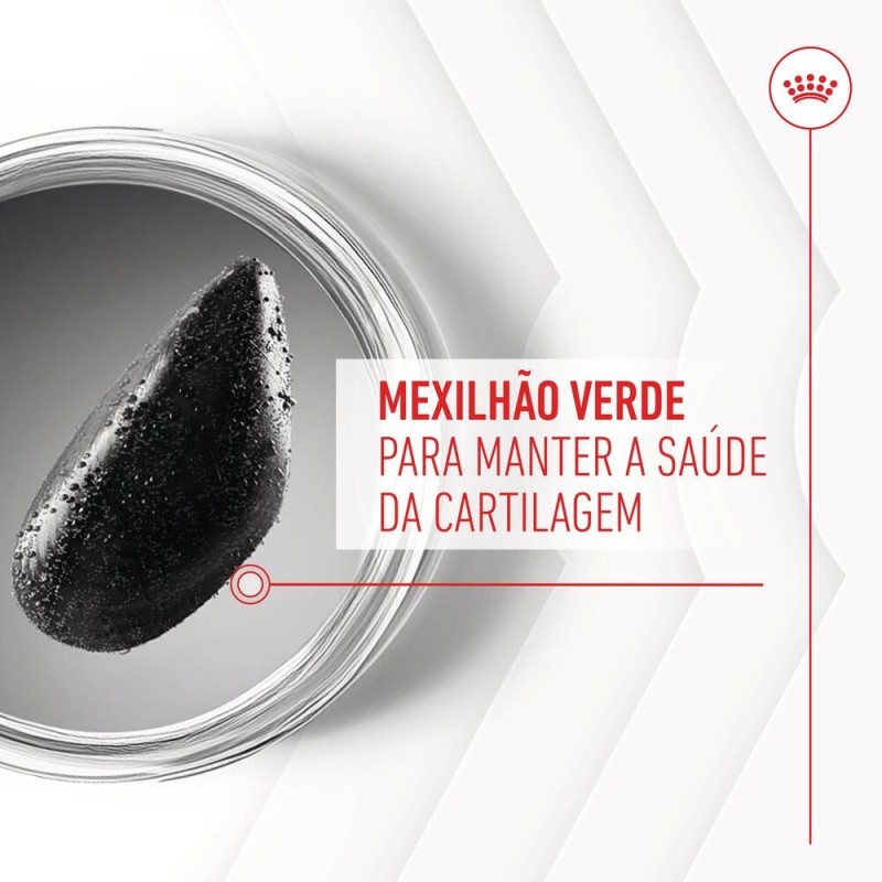 Royal Canin Joint & Ageing Chews - Suplemento para cães com sensibilidade articular