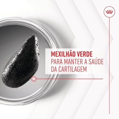 Royal Canin Joint & Ageing Chews - Suplemento para cães com sensibilidade articular