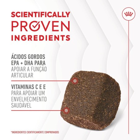 Royal Canin Joint & Ageing Chews - Suplemento para cães com sensibilidade articular