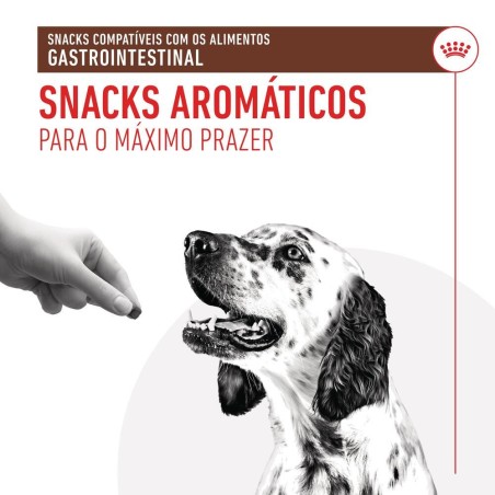 Royal Canin VET Treats Gastrointestinal - Snacks para cães com problemas digestivos
