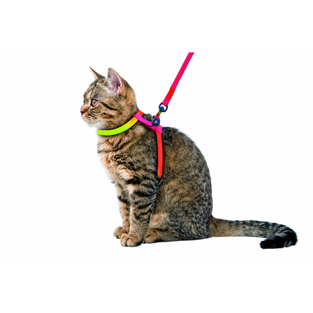 Arnês para gato RAINBOW (1uni.)