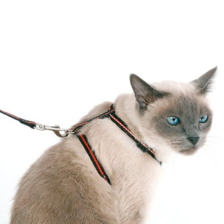 Arnês para Gato