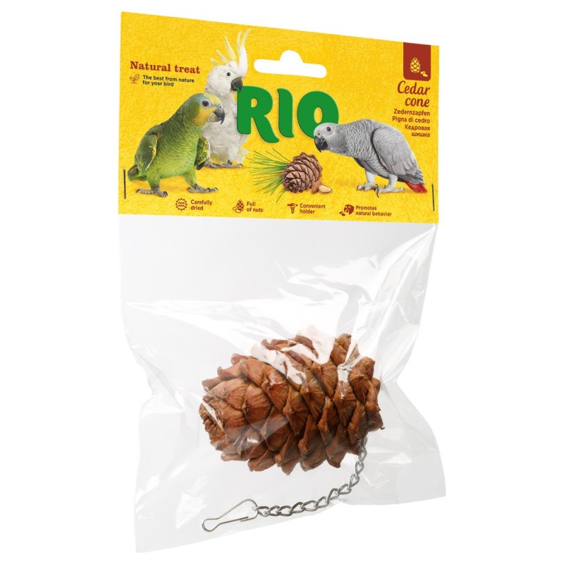 Pinha de cedro para pássaros - RIO