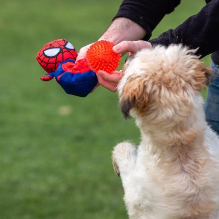 Peluche com bola Spider-Man para cães - Marvel