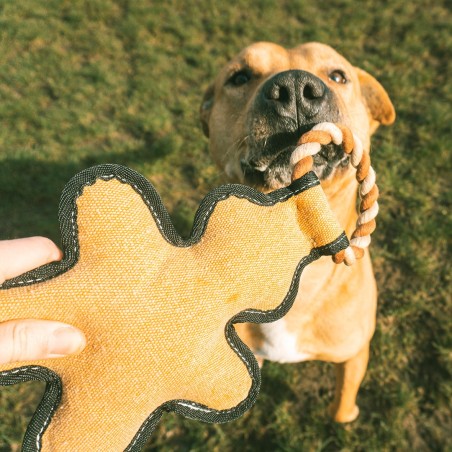 Homem biscoito em tecido Canvas para cães - Duvo Plus