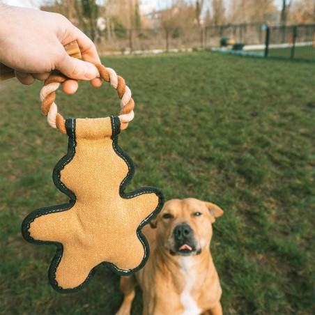 Homem biscoito em tecido Canvas para cães - Duvo Plus