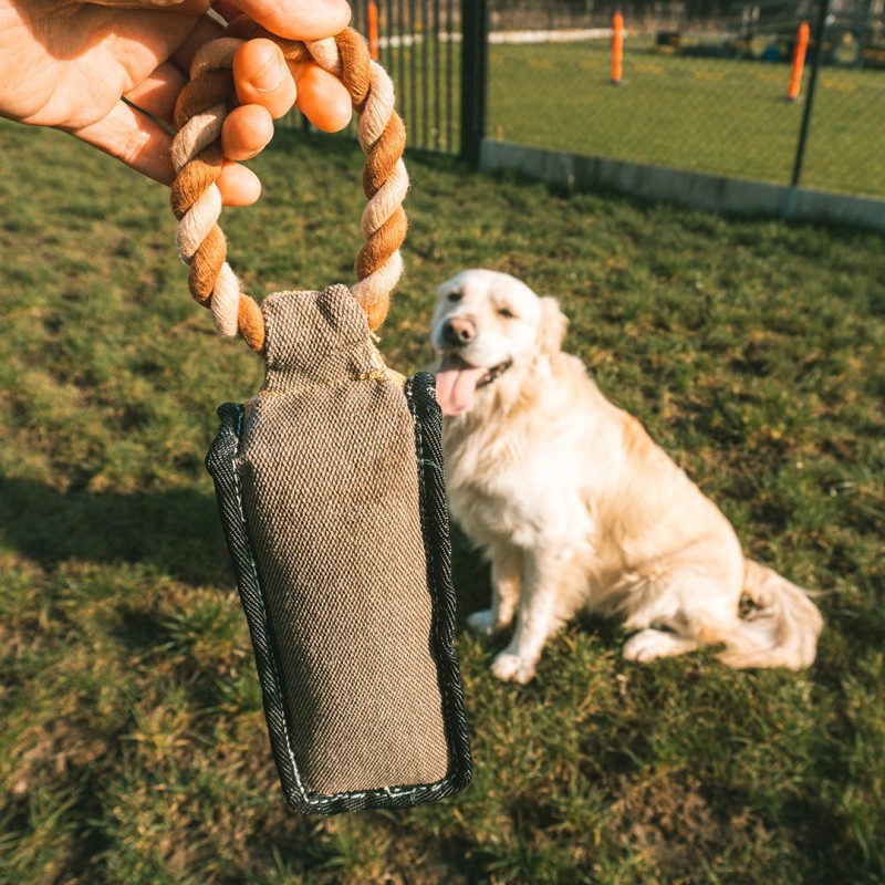 Haltere de lona Canvas para cães - Duvo Plus