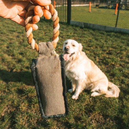 Haltere de lona Canvas para cães - Duvo Plus