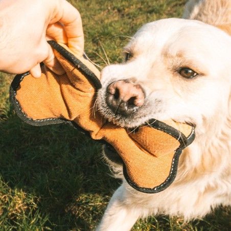 Osso em tecido Canvas para cães - Duvo Plus