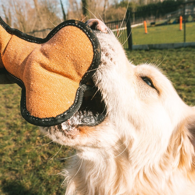 Osso em tecido Canvas para cães - Duvo Plus