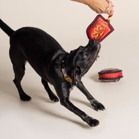 Corda dental Gryffindor para cães - Harry Potter